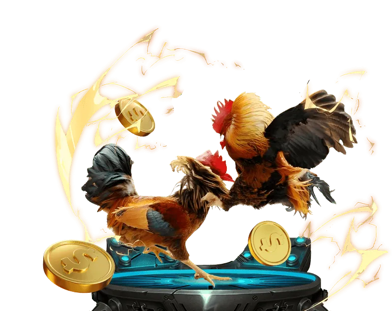 Hướng dẫn cá cược trực tuyến 13win21